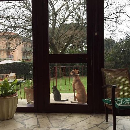 B&B Villa Acero Marina Di Carrara Dış mekan fotoğraf