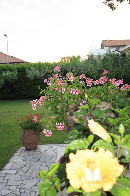B&B Villa Acero Marina Di Carrara Dış mekan fotoğraf