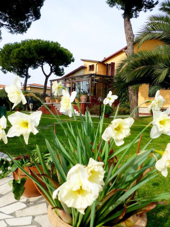 B&B Villa Acero Marina Di Carrara Dış mekan fotoğraf